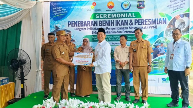 Budidaya Berkelanjutan, SKK Migas - PetroChina Bantu 8 Sapi hingga Benih Ikan di Tanjabbar